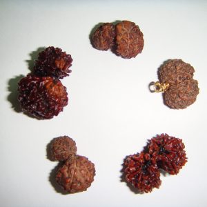 Gowri Sankar Ruthrasham