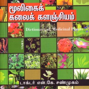 mooligai kalai kalangiyam-front