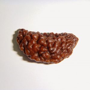 one Mukhi Rudraksh(oru muga rudraksham)