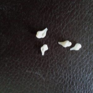 Rice Size Valampuri(RARE)